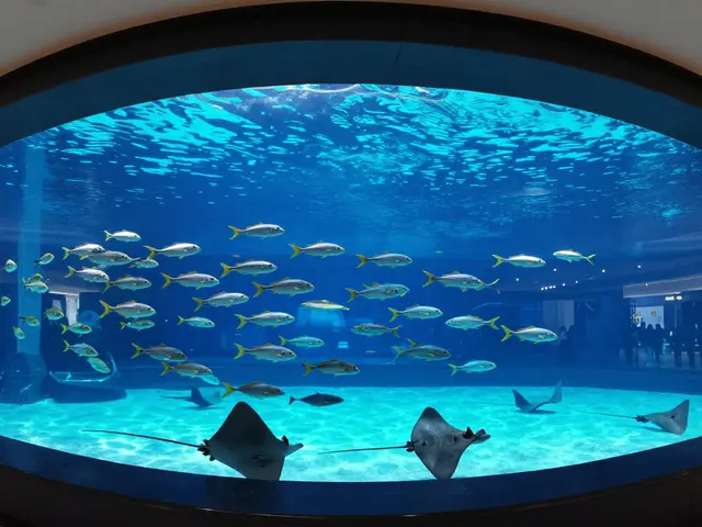 A Day at the Dubai Aquarium: Complete Guide to What to See and Do in 2026